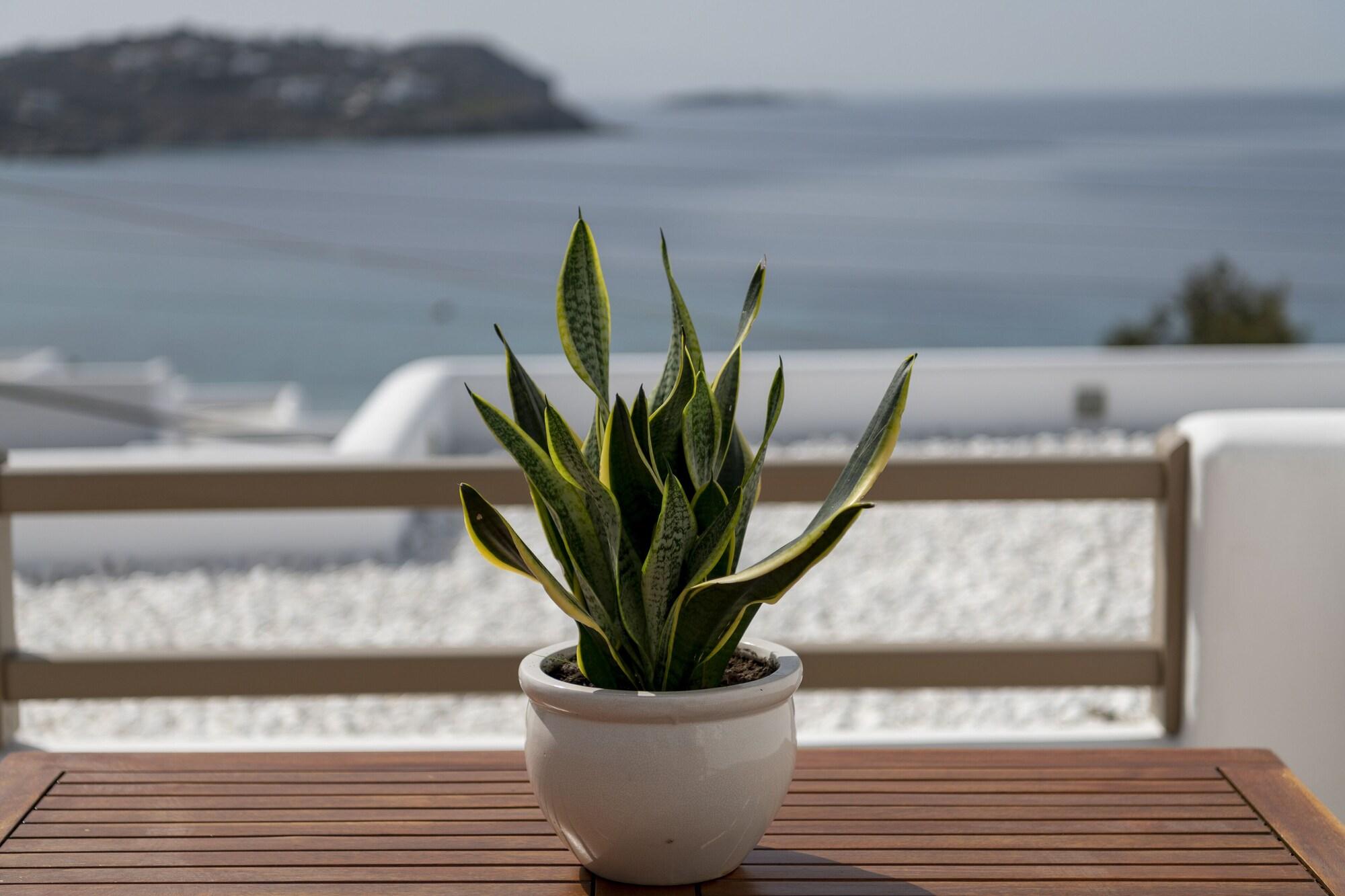 Lithos By Spyros & Flora 4* Agios Ioannis Diakoftis